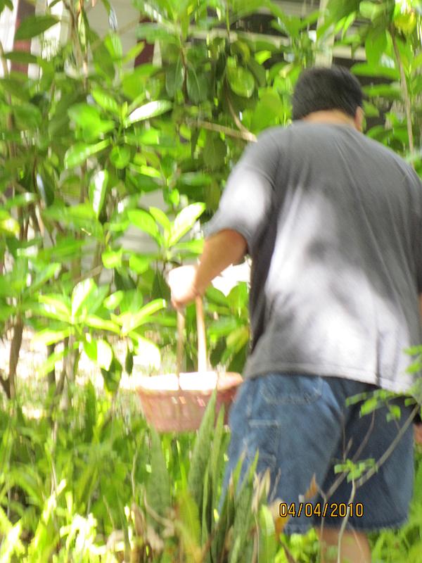 Picture 020